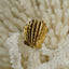 BIG SHELL OPEN BACK RING