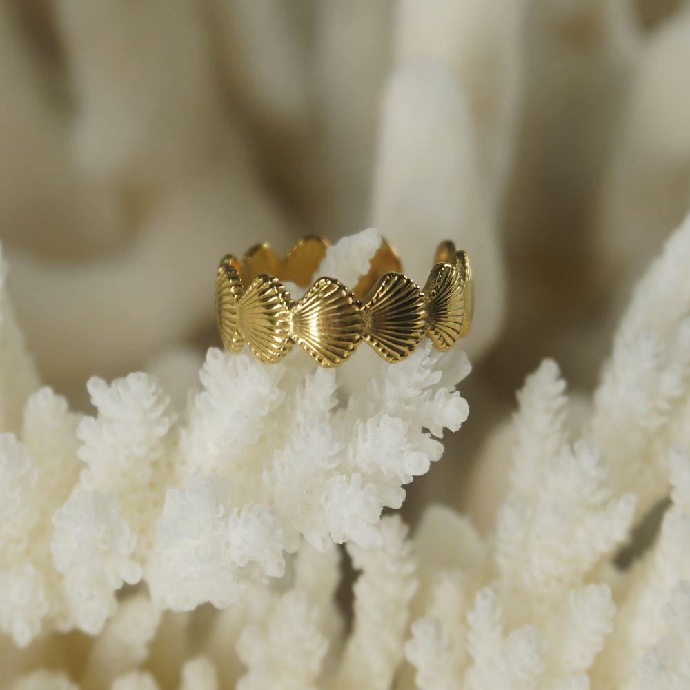 SO SHELLY OPEN BACK RING - The Sea Nymphs