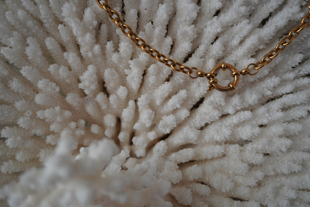 Alternate view: gold-tone oval-link chain necklace with a prominent round clasp at the centre.