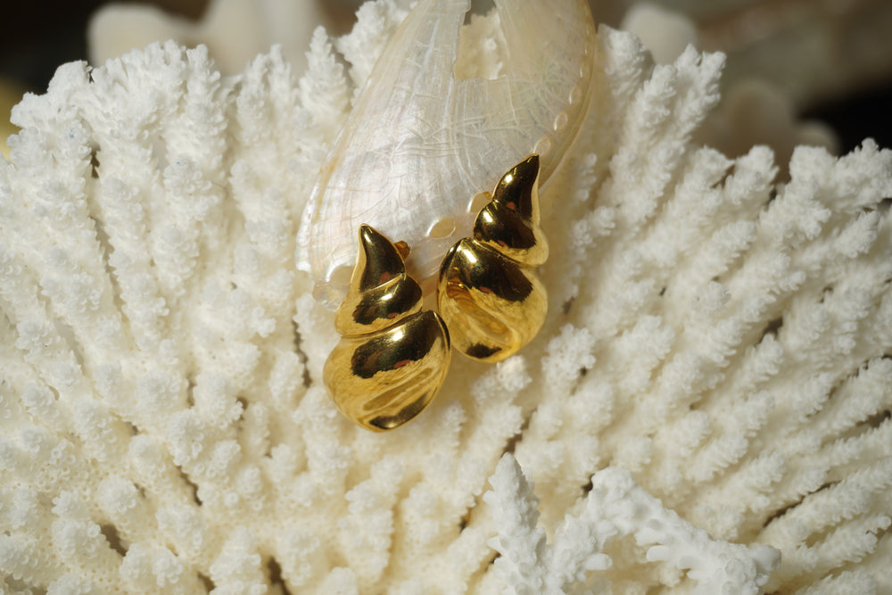 Gold-tone shell stud earrings with smooth rounded spirals and pointed tips.