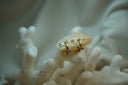 Alternate view: gold-tone hoops with four pointed petals and clear accents.