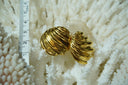 Alternate view: gold-tone oval earrings with domed faces and sweeping curved flutes.