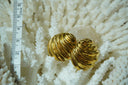 Gold-tone oval earrings with domed faces and sweeping curved flutes.