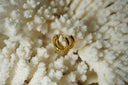Small gold-tone circular hoop earrings with a recessed channel and raised edges.