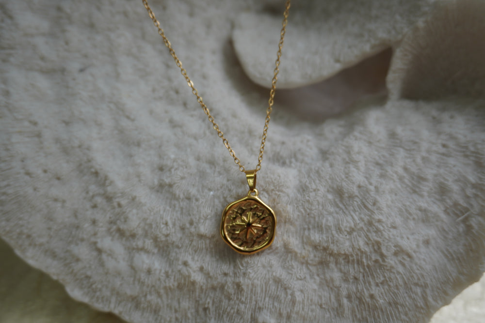 Gold-tone necklace with a textured circular compass-star token.