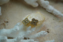 Alternate view: gold-tone four-lobed earrings with clear accents, dotted borders and rounded centres.