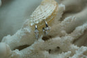 Alternate view: silver-tone hoop earrings with a clear teardrop-shaped accent on each front.