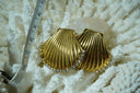 Gold-tone scallop-shell stud earrings with radiating ridges and clear accents along the curved edge.