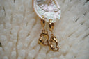 Gold-tone hoop earrings with open circular charms formed by two dolphin shapes.