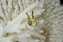 Gold-tone hoops with diamond-shaped tile charms bearing eight-point stars and clear centre accents.