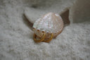 Alternate view: rounded gold-tone hoop earrings covered with close-set parallel ridges.