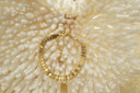 Gold-tone bracelet with ridged rectangular panels, looped edges and an extension chain.