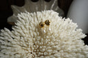 Alternate view: gold-tone fluted shell-inspired stud earrings with hanging white oval beads.