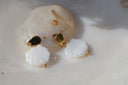 Alternate view: white scallop-shaped drop earrings with gold-tone studs, radiating grooves and rounded accents.