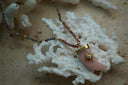 Beaded necklace with a pale pink curved horn-shaped pendant, gold-tone cap and star detail with a clear centre.