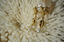 Alternate view: gold-tone drop earrings with dotted starfish tops, cowrie motifs and white bead drops.