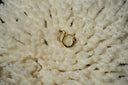 Gold-tone snake-shaped hoop earrings with dark eyes and clear round accents.