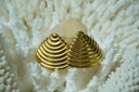 Gold-tone fan-shaped earrings with rounded triangular outlines and nested curved ridges.