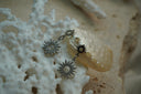 Alternate view: silver-tone drop earrings with linked small and large open sunbursts and clear accents.