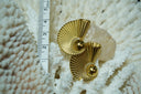 Alternate view: gold-tone stud earrings with curled ridged fans around smooth rounded centres.
