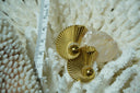 Gold-tone stud earrings with curled ridged fans around smooth rounded centres.