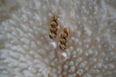 Gold-tone drop earrings with chunky chain-style links and rounded white bead drops.